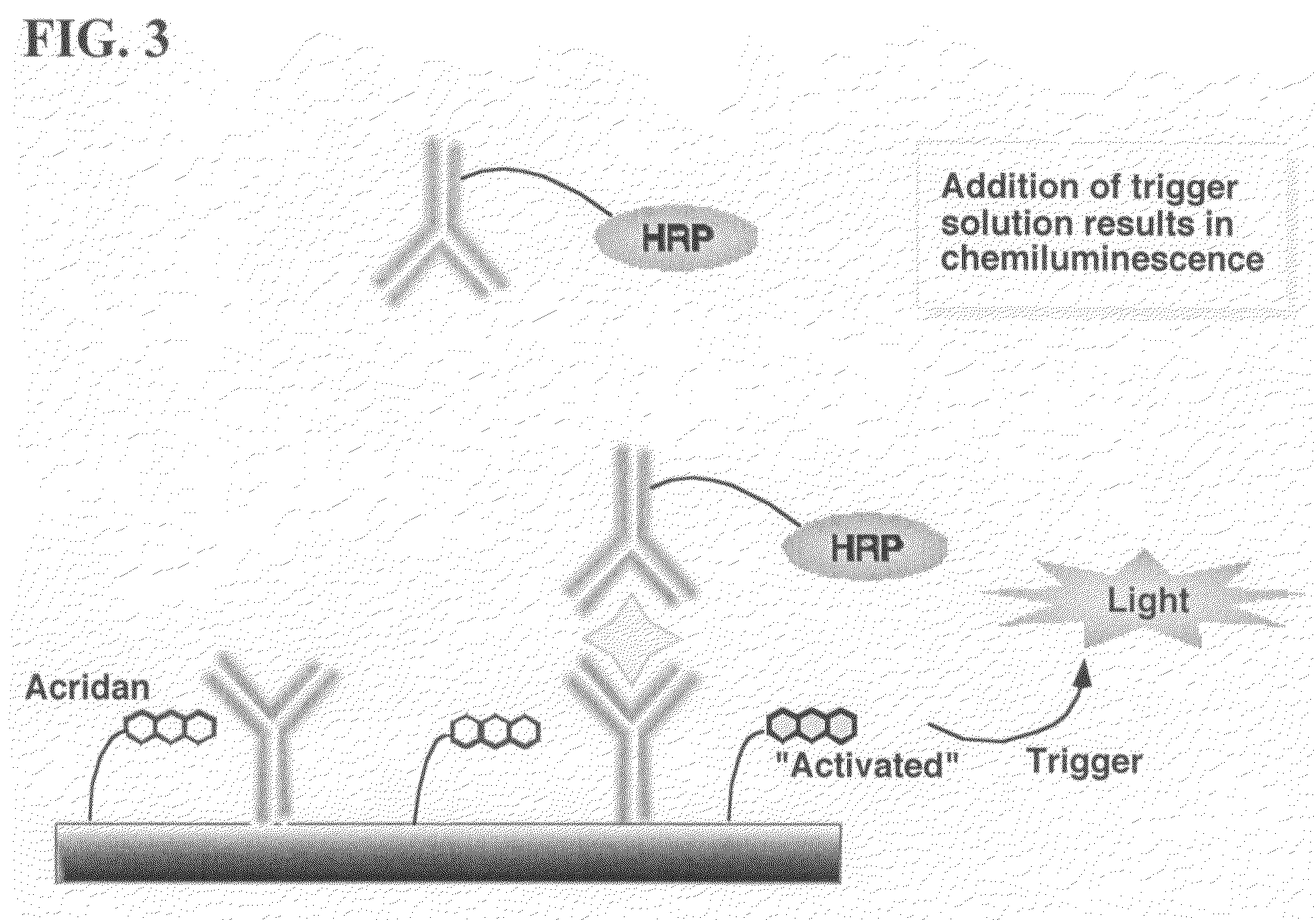 Nonseparation assay methods