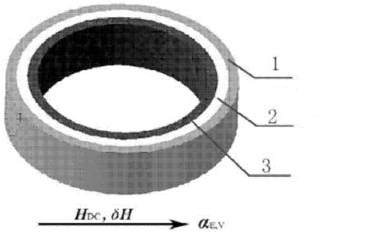 Magnetic-electric composite material and preparation method thereof