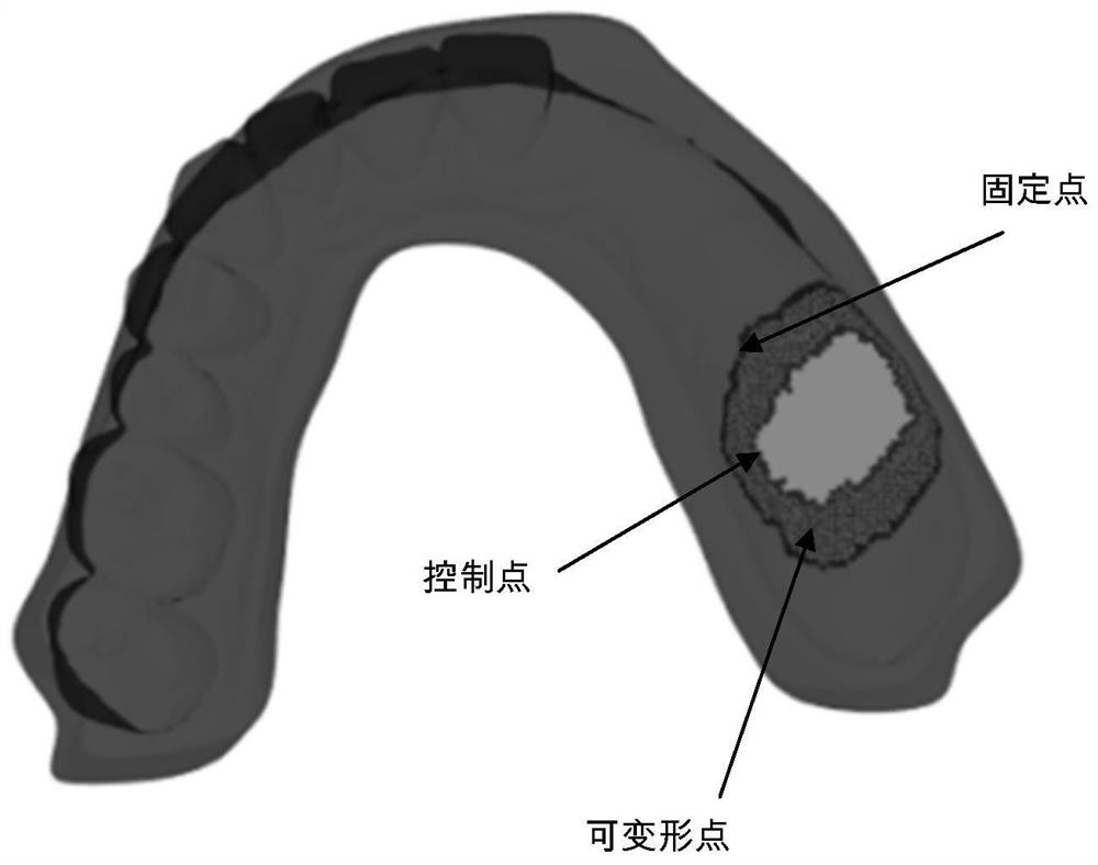 A method for simulating gingival deformation