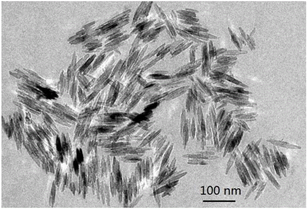 Hydroxyapatite-based electrochemical probe construction method and method for determining activity and inhibition property of BACE1