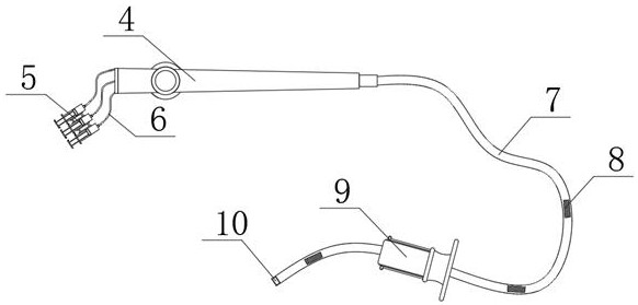 Foreign matter measuring system for digestive endoscopy