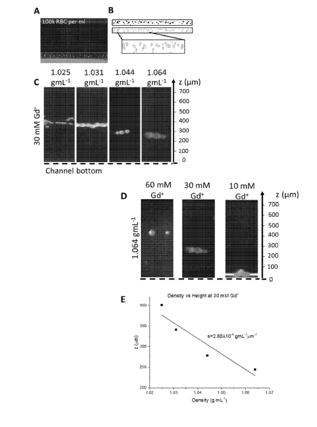 Sorting Biological and Non-Biological Moieties Using Magnetic Levitation