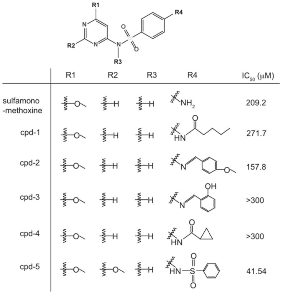 Application of a kind of sulfamethoxine derivative in the preparation of antitumor drugs