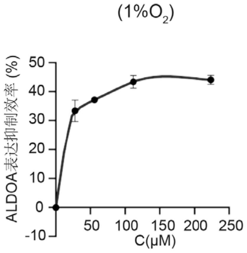 Application of a kind of sulfamethoxine derivative in the preparation of antitumor drugs