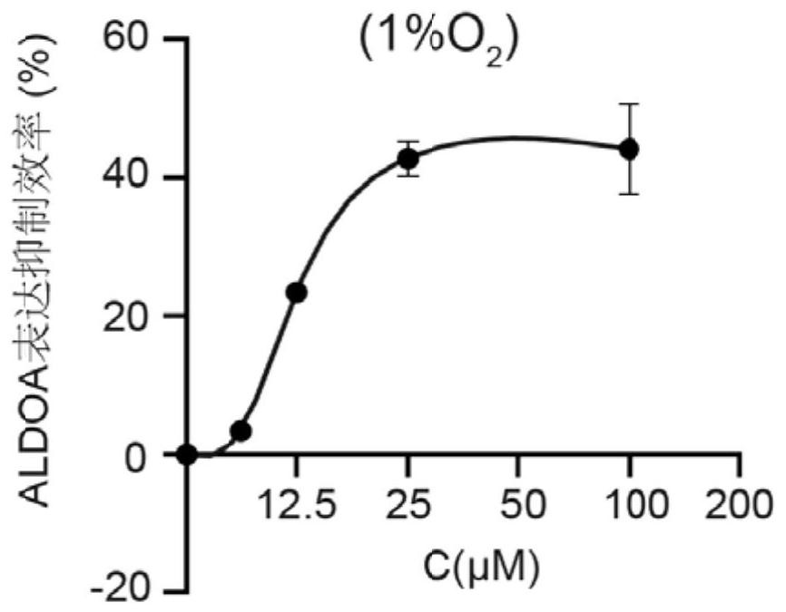 Application of a kind of sulfamethoxine derivative in the preparation of antitumor drugs