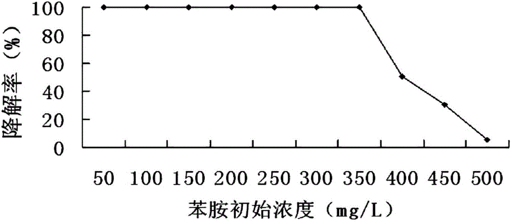 Sphingobacterium sp. with aniline degradation capability and application thereof