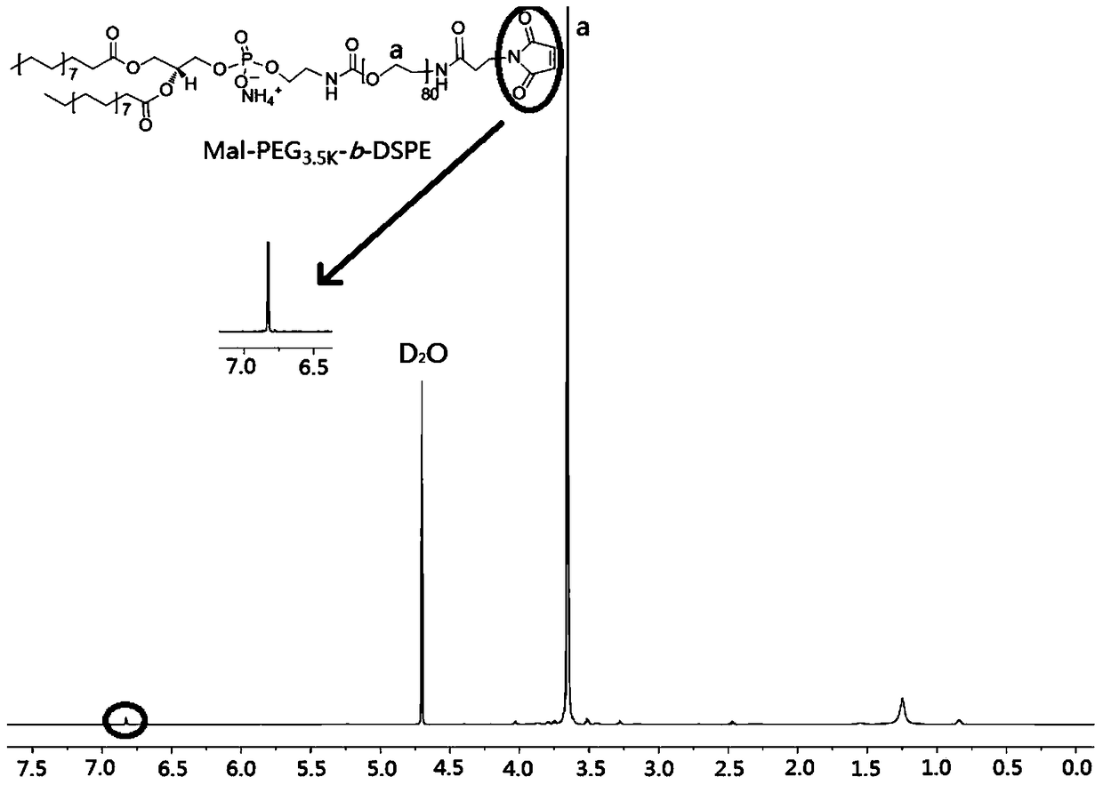 pH-sensitive polymer micelles for drug delivery