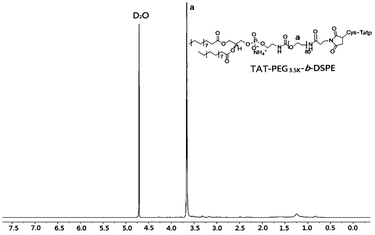 pH-sensitive polymer micelles for drug delivery