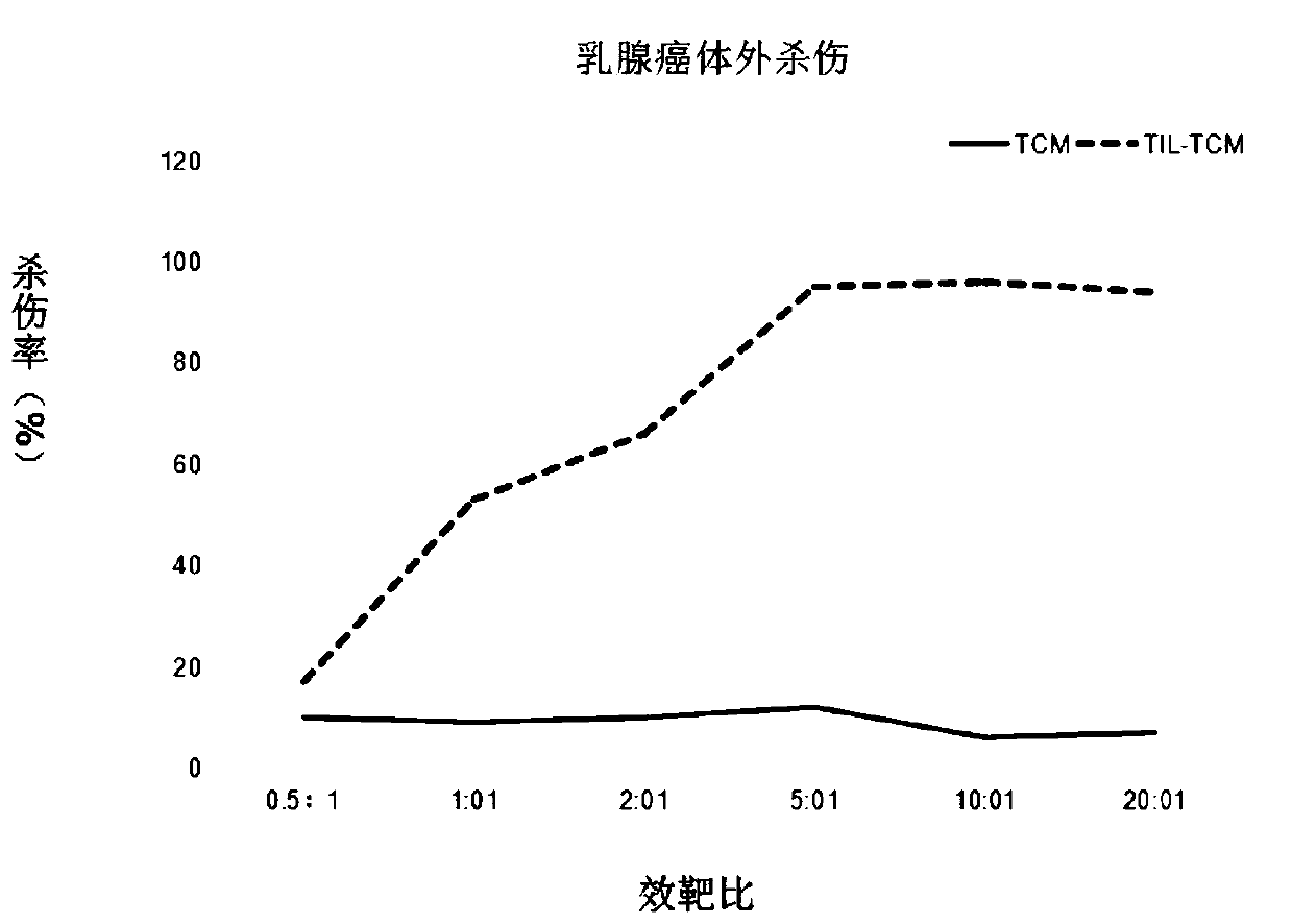 Culture method of wettability T cells