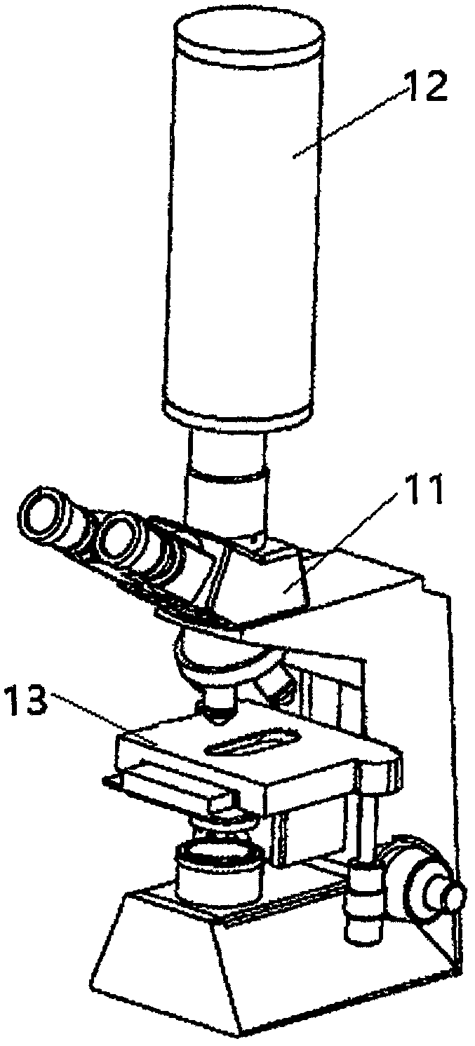 Cervical cancer and uterus cancer detection method and system thereof