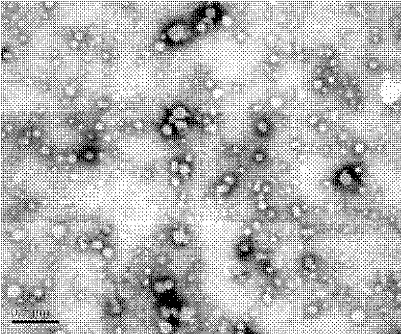 Mitoxantrone targeting sustained-release long-circulating nanometer liposome and preparation method