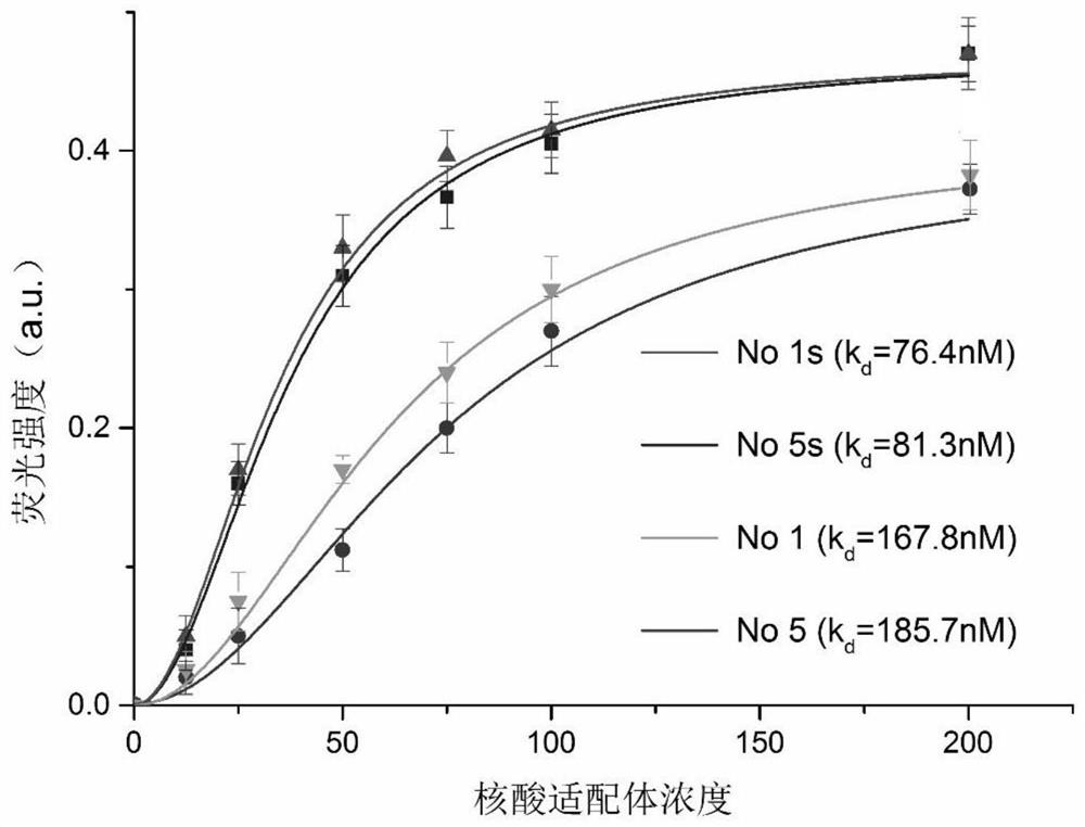 Sulfadimidine aptamer screening method, kit and application