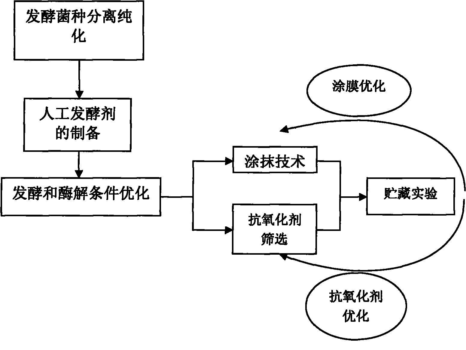 Method for optimizing fermentation and enzymolysis conditions