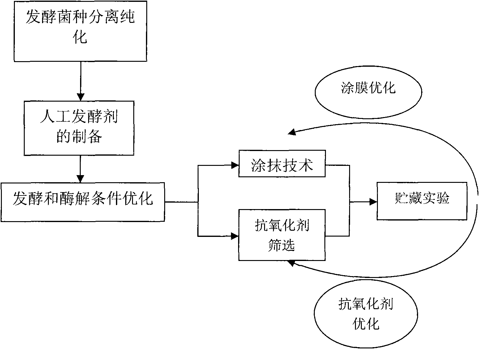 Method for optimizing fermentation and enzymolysis conditions