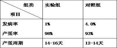 Laying-chicken feed