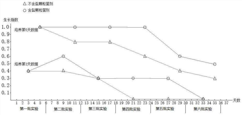 Preparation and seeding method of a kind of ectomycorrhizal fungus granule