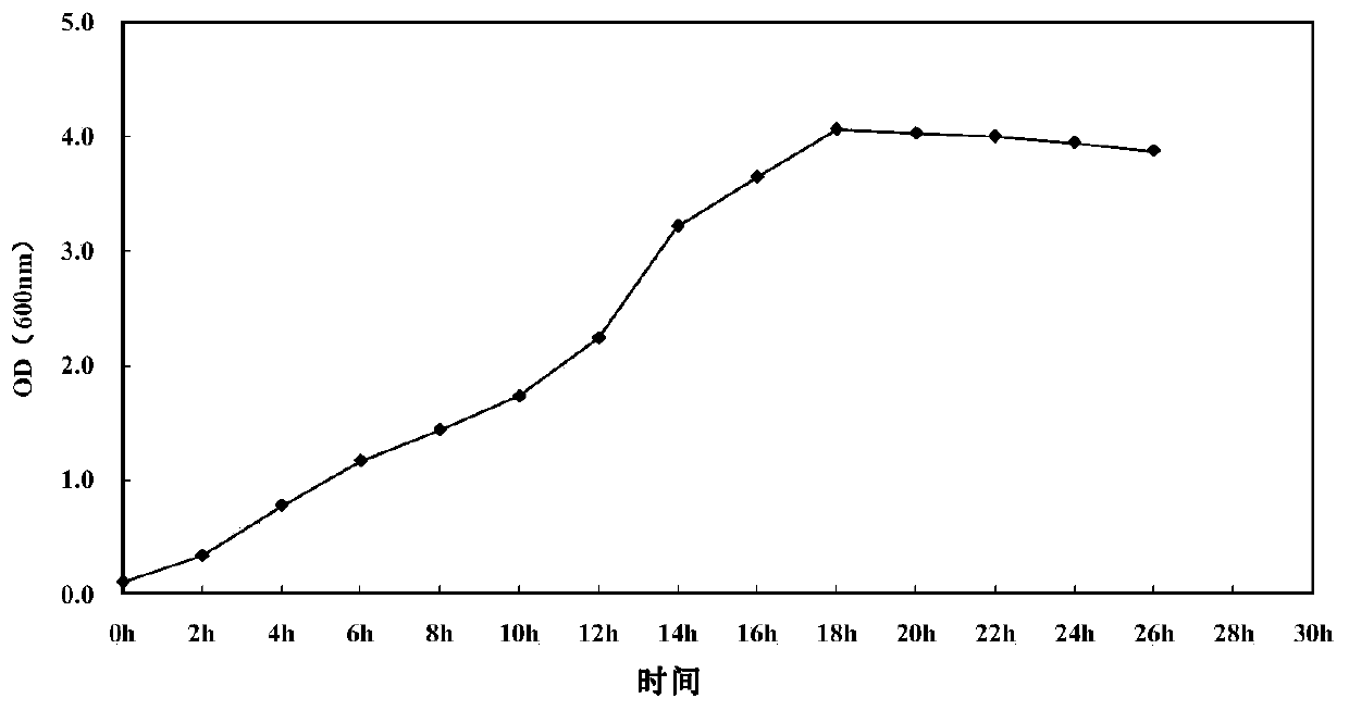 Cotton verticillium wilt antagonistic bacillus, fermentation filtrate and its application