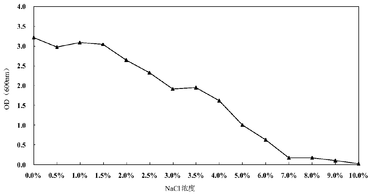 Cotton verticillium wilt antagonistic bacillus, fermentation filtrate and its application