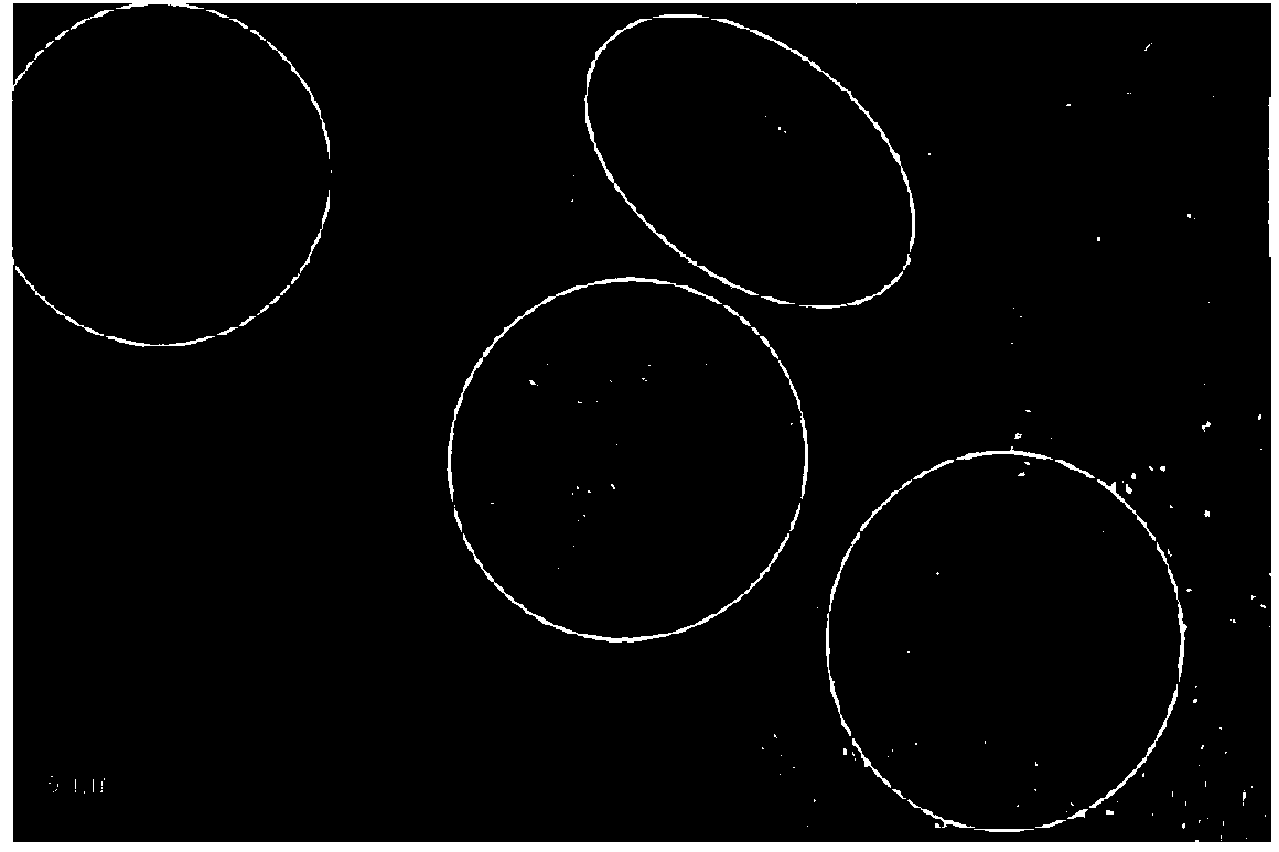 Preparation of ultra-dispersed nano diamond hydrosol