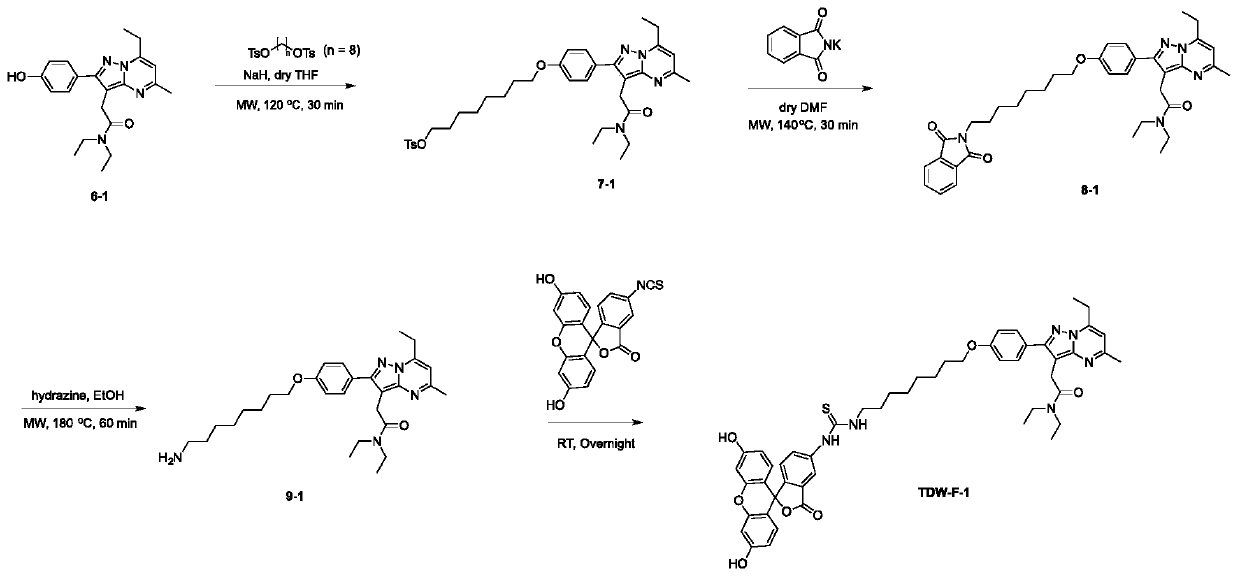 Tspo fluorescent imaging probe and its synthesis method and application