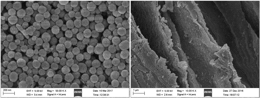 Catechol group-contained natural polysaccharide composite hydrogel carrier and preparation method thereof