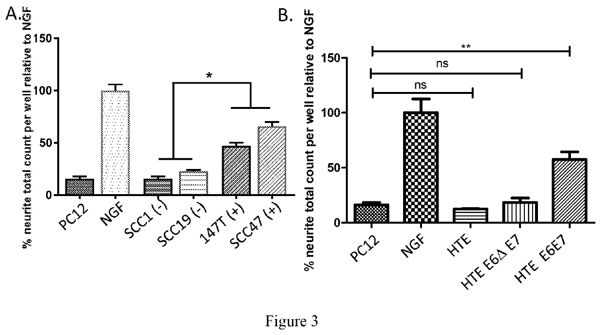 Inhibitors of ephrin b1 for tumor treatment