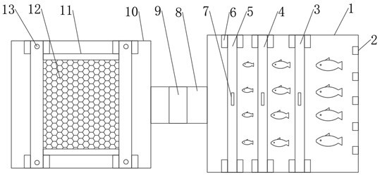 A factory farming fish counting device