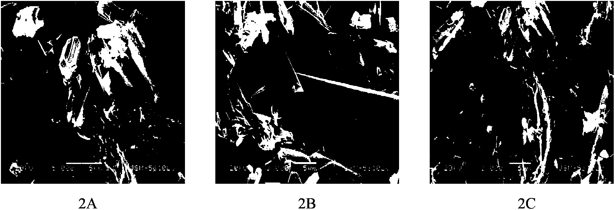 Composite material with formaldehyde purification function and production method thereof