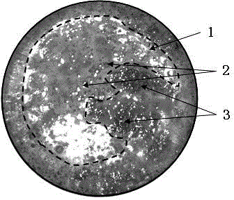 Method for separating amphoteric metal in waste circuit board powder