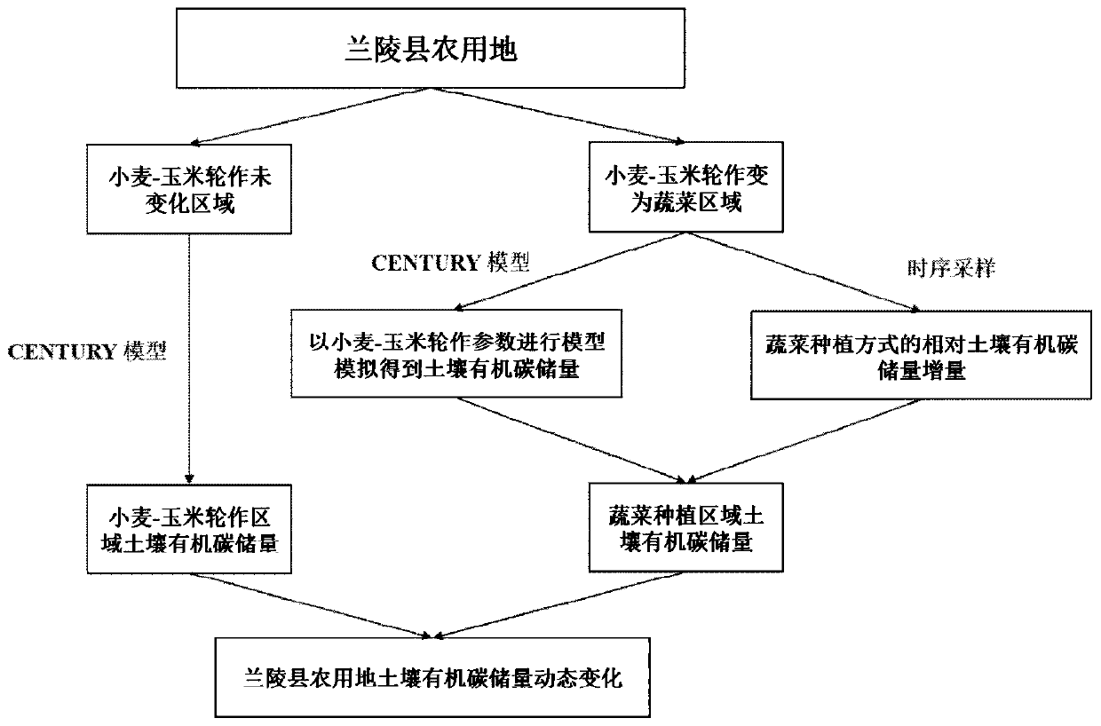 Farmland soil organic carbon reserve estimation method and system in combination with model and time sequence sampling