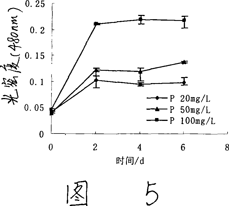 Pantoea sp, M3, and method for degrading malachite green