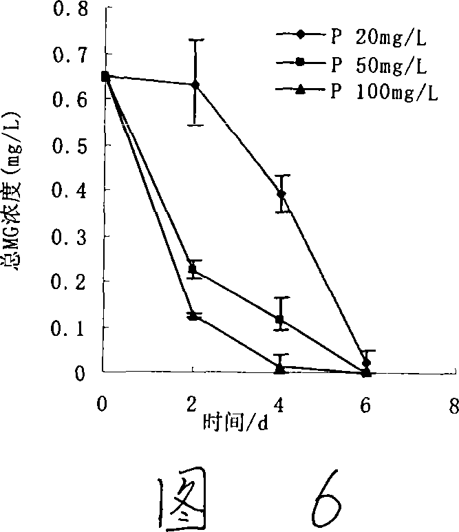 Pantoea sp, M3, and method for degrading malachite green