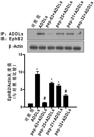 Peptides with Neuroprotective Effects and Applications