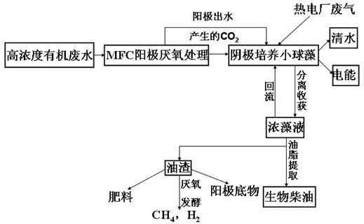 Chlorella microbiological fuel cell reactor