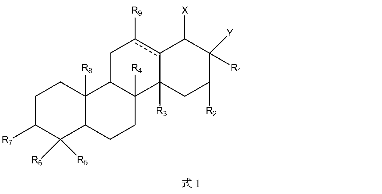 Triterpene derivative and preparation method and application