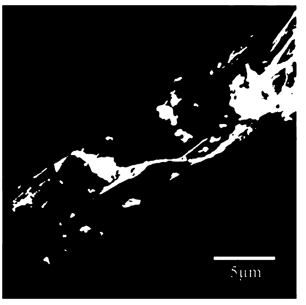 Preparation and application of hydrophobic Schiff base cobalt-beta cyclodextrin-graphene porous carbon composite material