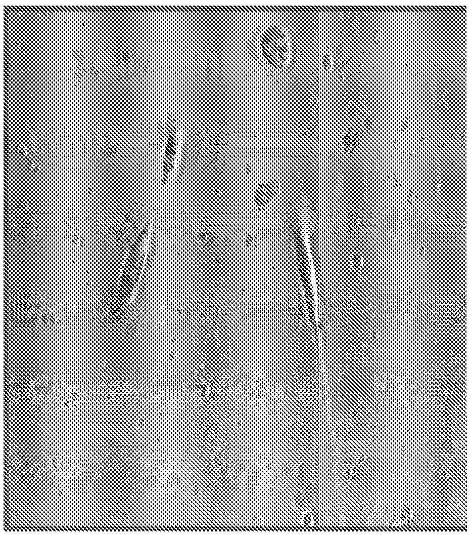 Process for isolating nucleated cells and nucleated cell populations and uses thereof