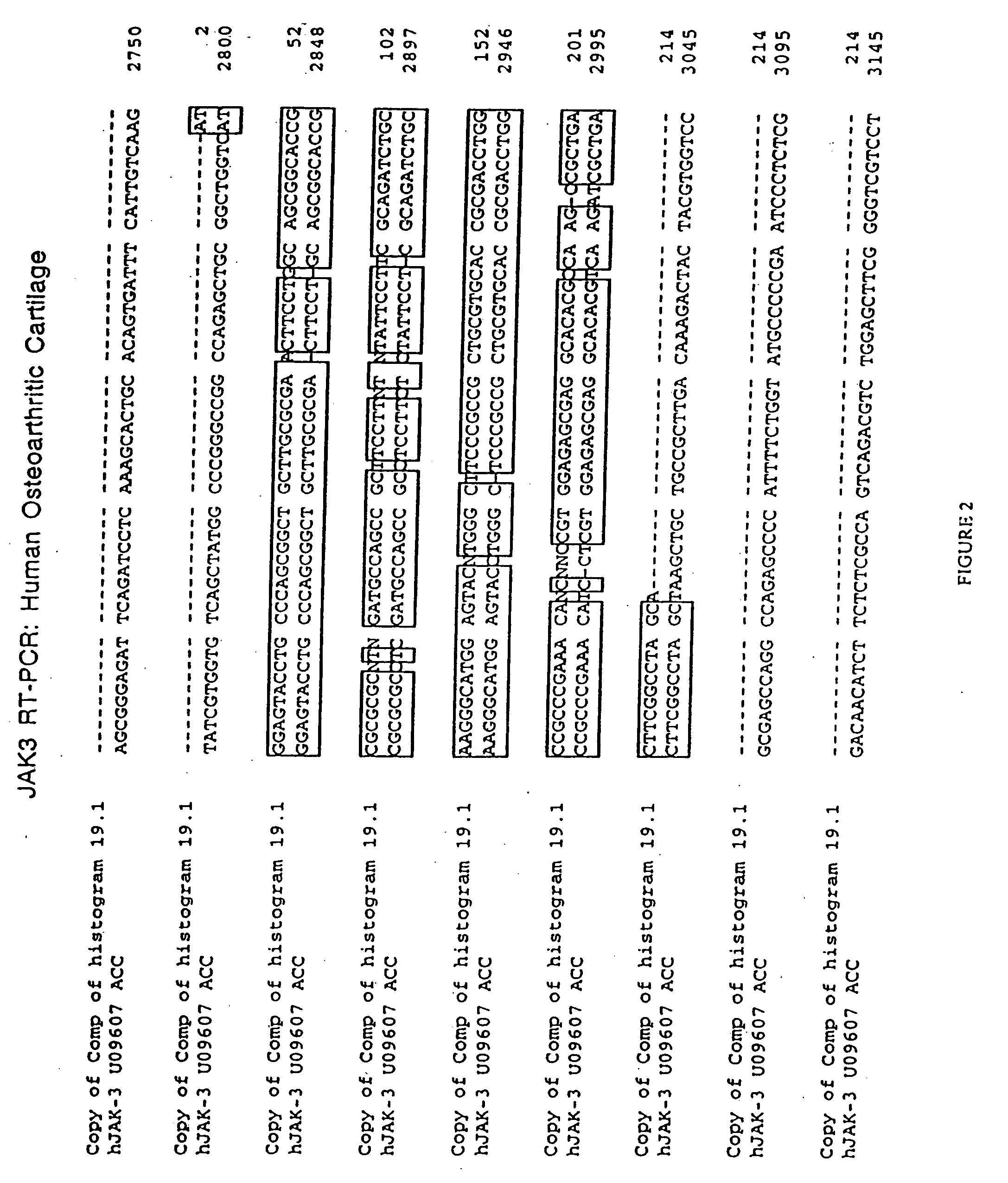 JAK/STAT pathway inhibitors and uses thereof