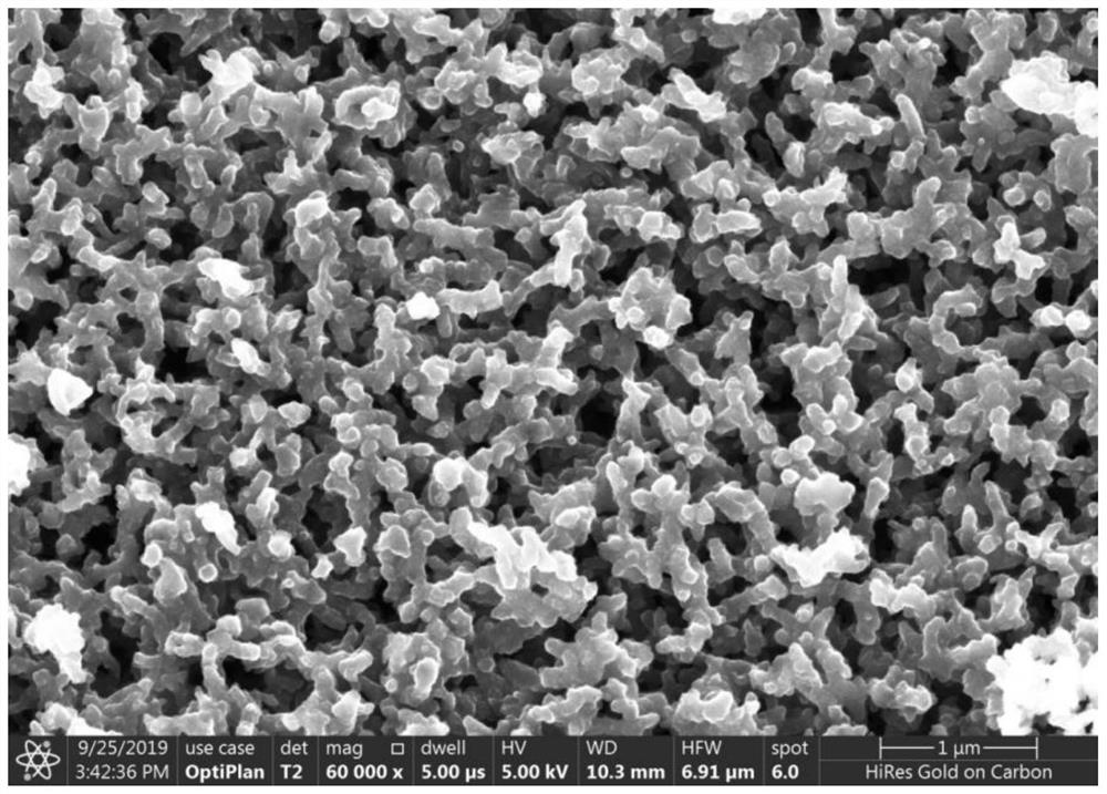 Preparation method and application of self-supporting flexible polyaniline supercapacitor material