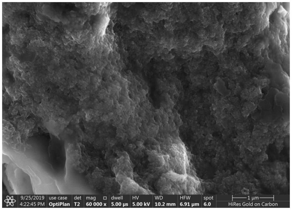 Preparation method and application of self-supporting flexible polyaniline supercapacitor material