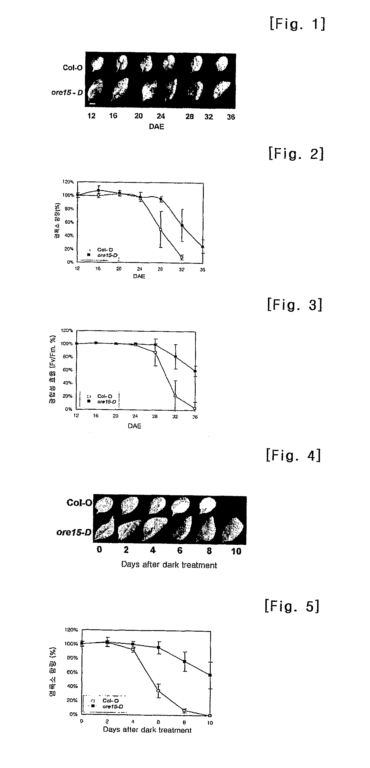 Protein regulating leaf longevity of plants, the gene thereof and their use