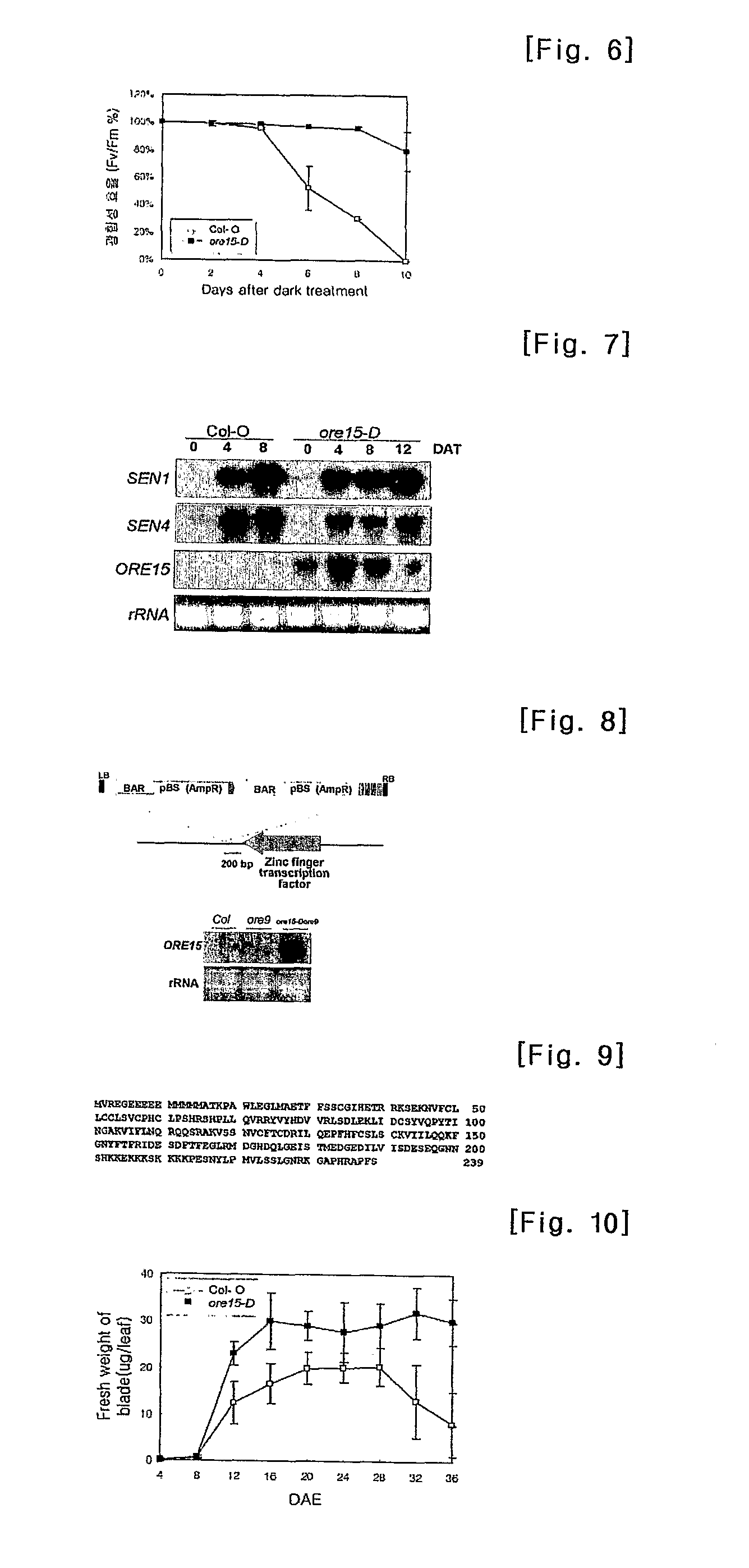 Protein regulating leaf longevity of plants, the gene thereof and their use