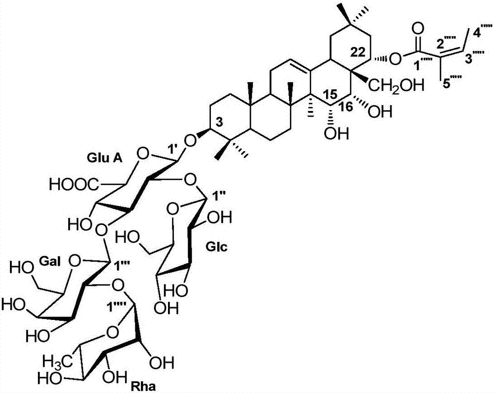 Schima superba extract and applications thereof