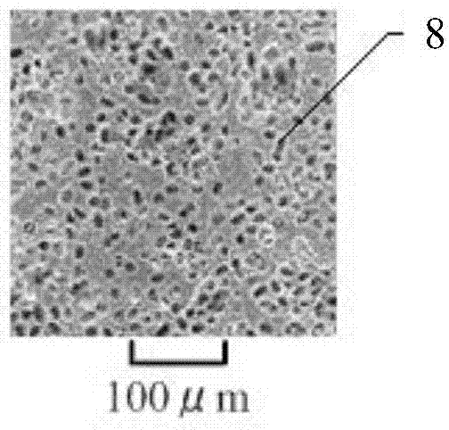 Shading device made of ceramic blades and ceramic blade production method