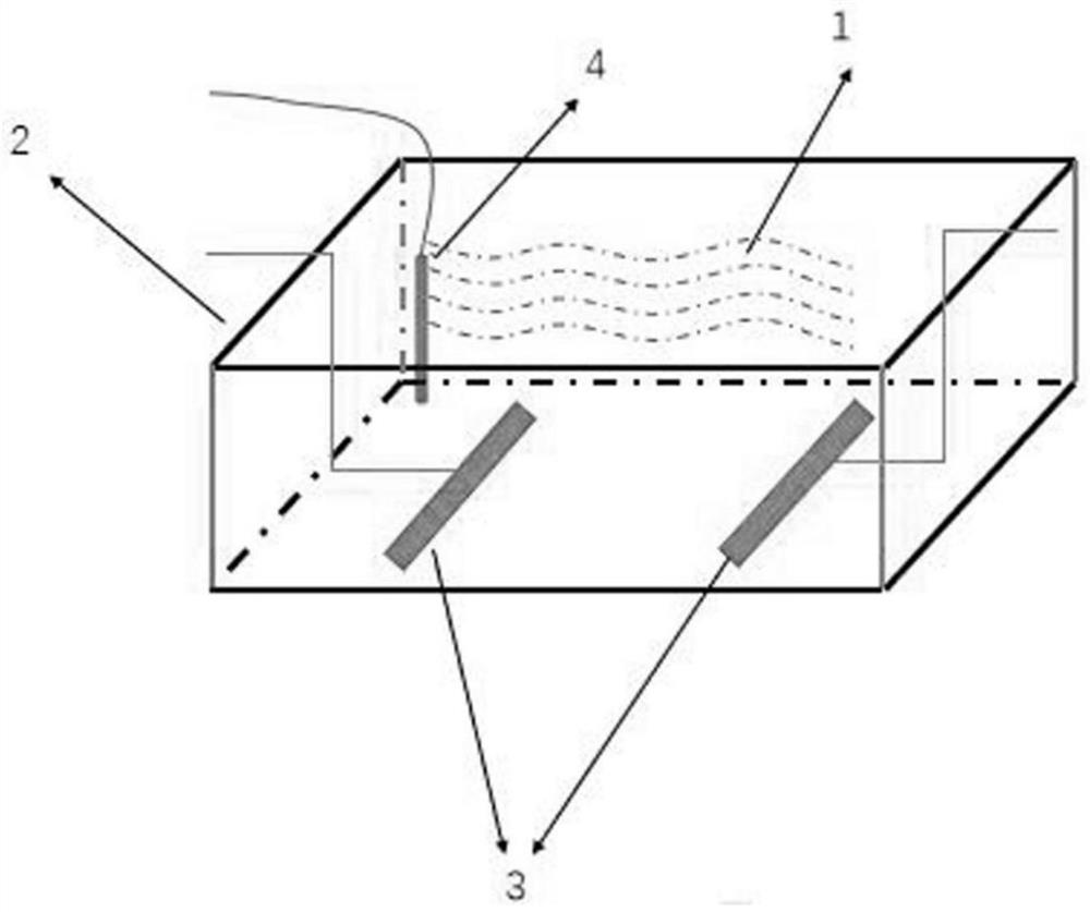 Bacterial liquid compound for assisting in improving in-vitro bacterial infection of fishes and application of bacterial liquid compound