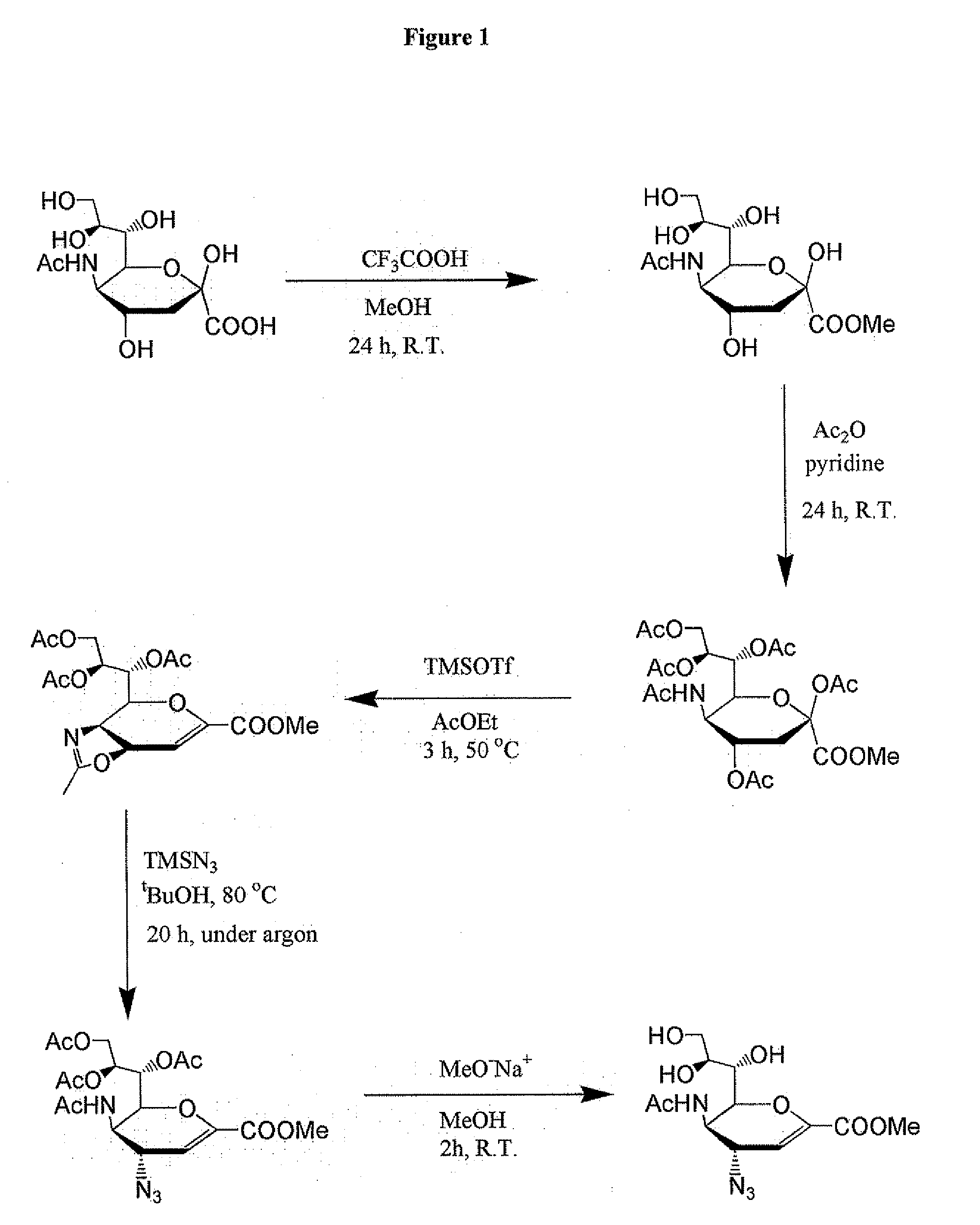 Bi-Functional Polymer-Attached Inhibitors of Influenza Virus