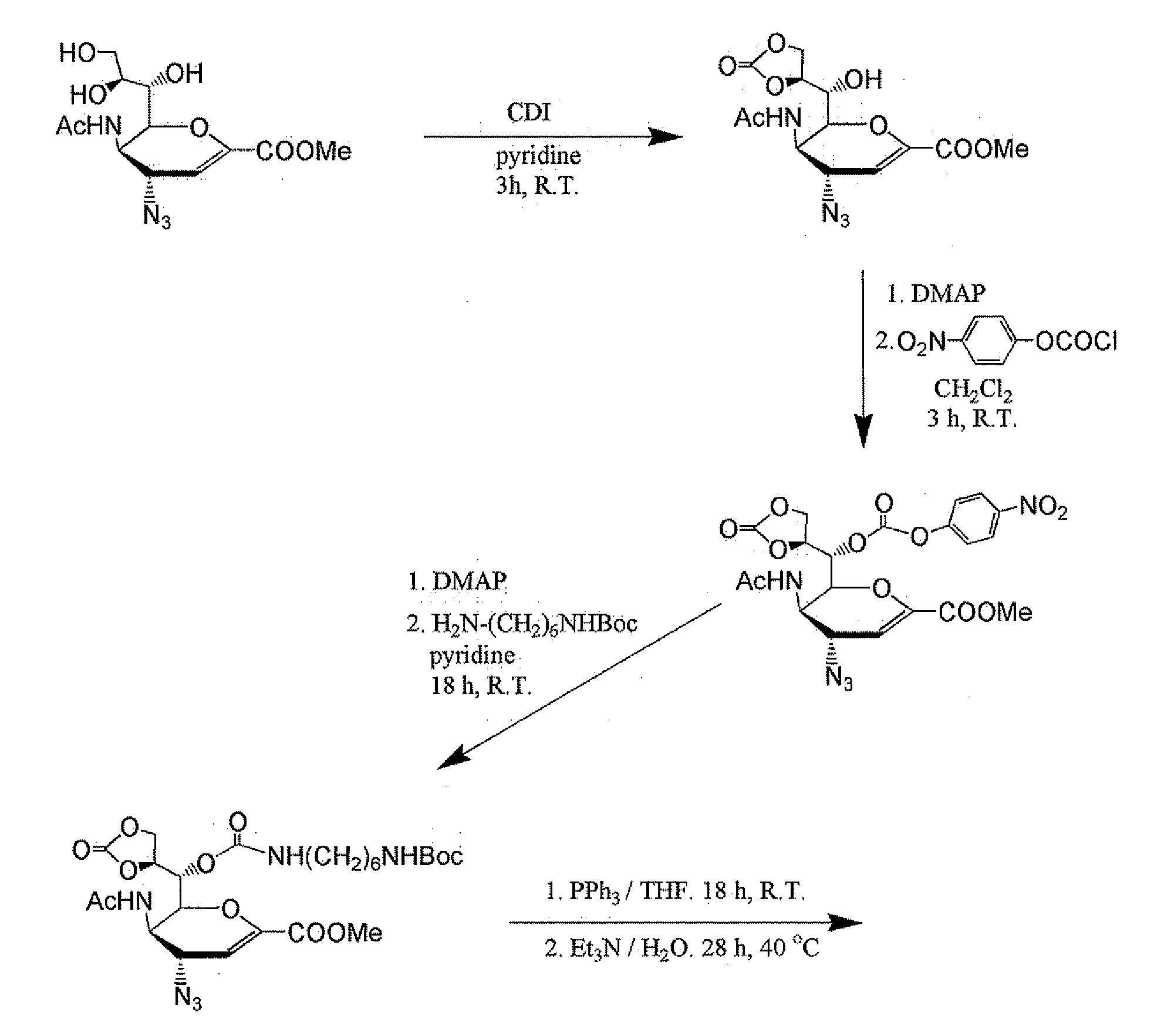 Bi-Functional Polymer-Attached Inhibitors of Influenza Virus