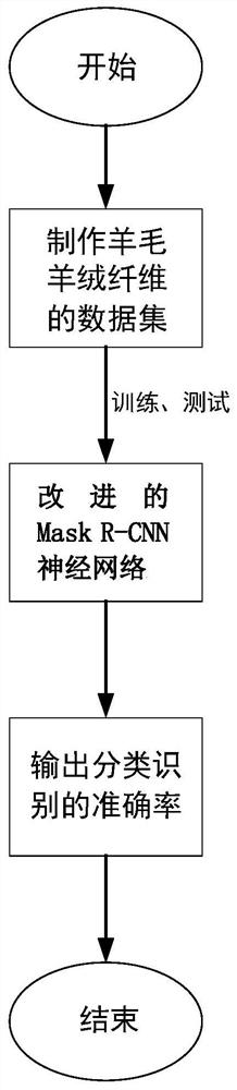 Wool cashmere fiber identification method based on improved Mask R-CNN neural network