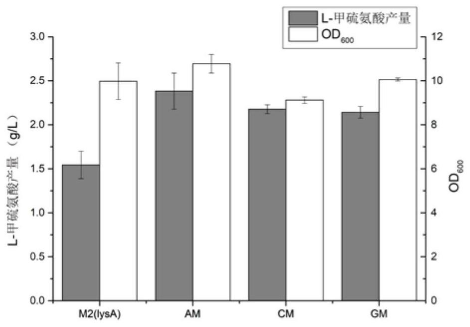 Recombinant escherichia coli capable of producing L-methionine at high yield without action of exogenous amino acid and application of recombinant escherichia coli