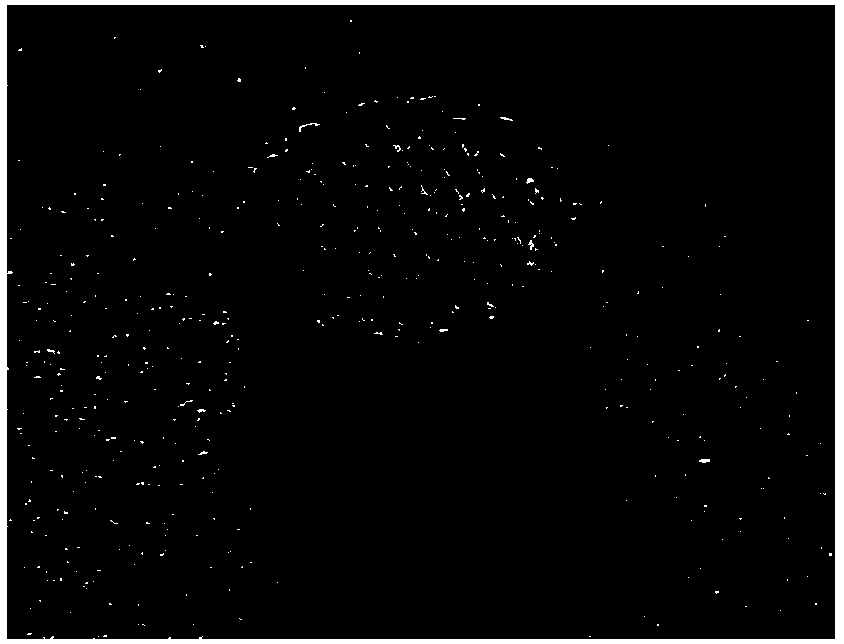 Mesoporous bioactive glass/metal organic framework support material and preparation method thereof